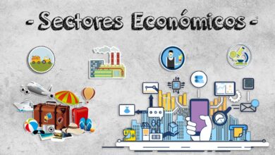 sectores-economicos-de-espana