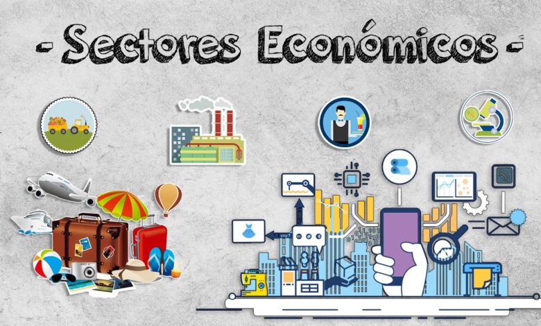 sectores-economicos-de-espana