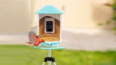 Bird Feeder Camera