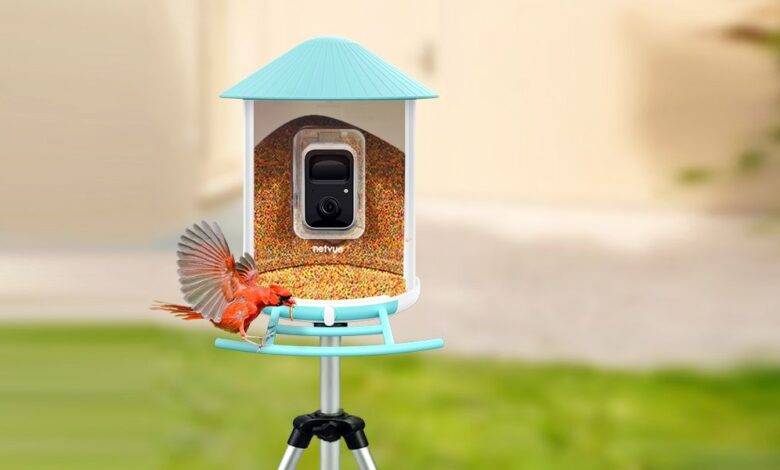 Bird Feeder Camera